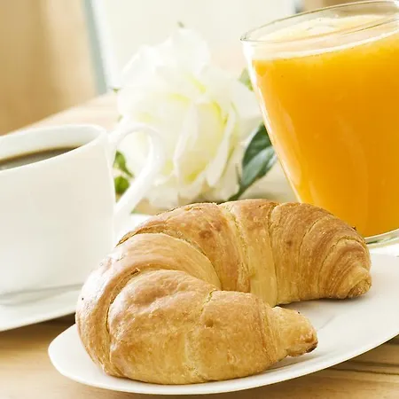 Le Nid De Martinet *