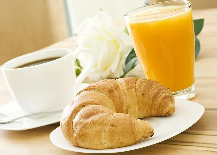 Le Nid De Martinet *