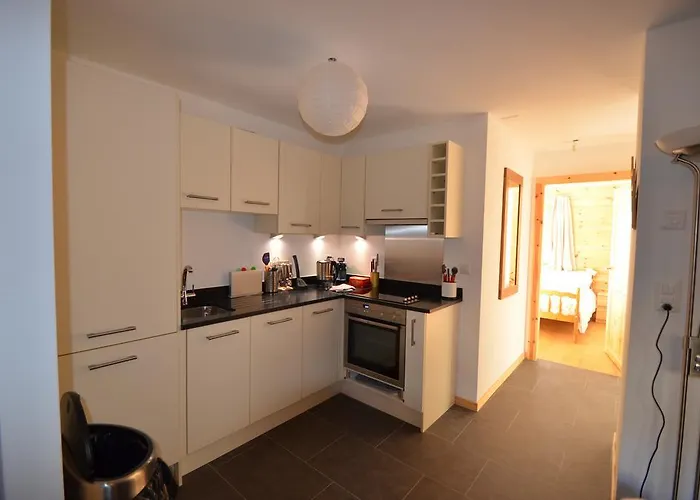 Le Nid De Martinet Appartement Grimentz